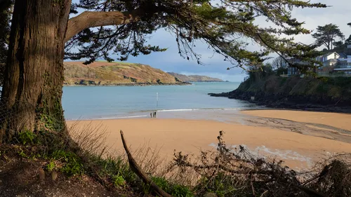 This landscape photograph captures South Sands beach and coast in Devon, England, in the United Kingdom, taken during a late winter afternoon. The view is from a hillside vantage point, looking through the branches of a large tree toward the sandy beach below, where a few people are visible walking near the shoreline. Houses line the cliffs to the right, and the calm sea stretches out toward rolling hills in the background. The natural light of the afternoon highlights the textures of the beach and surrounding greenery, illustrating the scenic beauty of the Devon coastline.